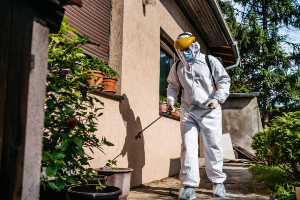 Best Pest Removal Services  in Lincoln Park, MI