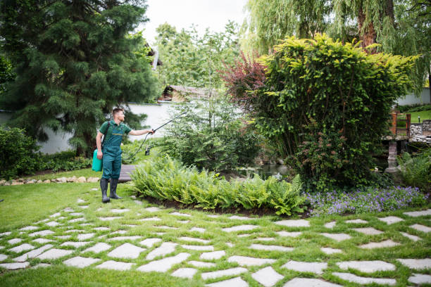 Best Insect Control  in Lincoln Park, MI