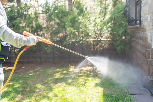 Wildlife Control Services in Lincoln Park, MI