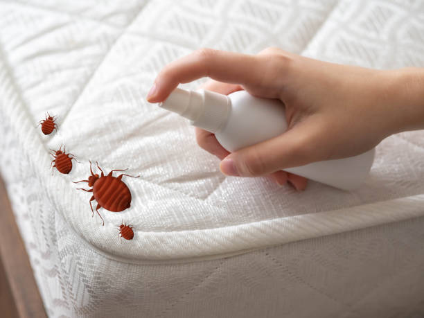 Best Pest Inspection Near Me  in Lincoln Park, MI