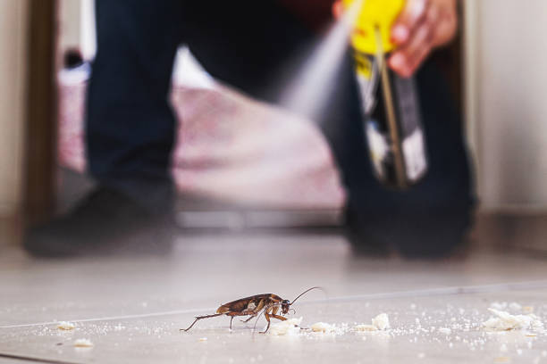 Reliable Lincoln Park, MI Pest Control Solutions