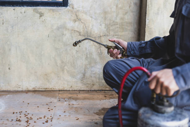 Best Emergency Pest Control  in Lincoln Park, MI